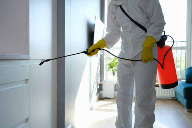 Professional Mold Remediation in Slocom, AL